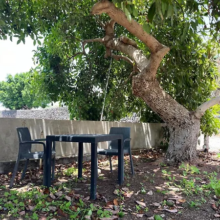 Fincaecoamaro * Puerto de Santiago