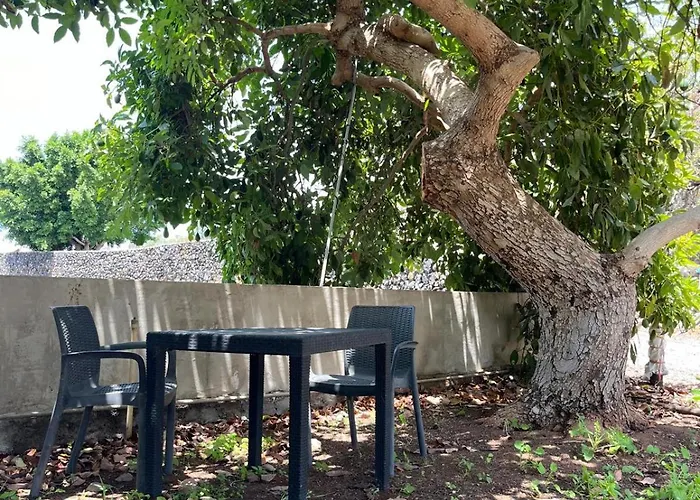 Fincaecoamaro * Puerto de Santiago (Tenerife)