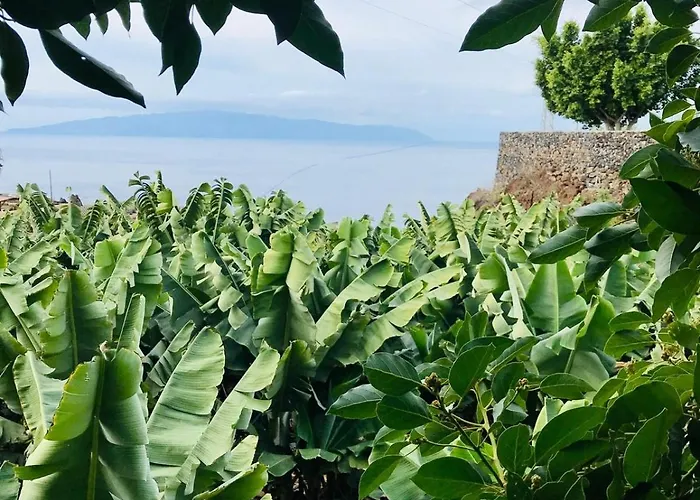 Fincaecoamaro プエルト・デ・サンティアゴ