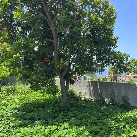 Fincaecoamaro Σπίτι διακοπών Puerto de Santiago (Tenerife)