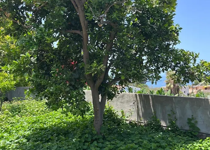 Fincaecoamaro Σπίτι διακοπών Puerto de Santiago (Tenerife)
